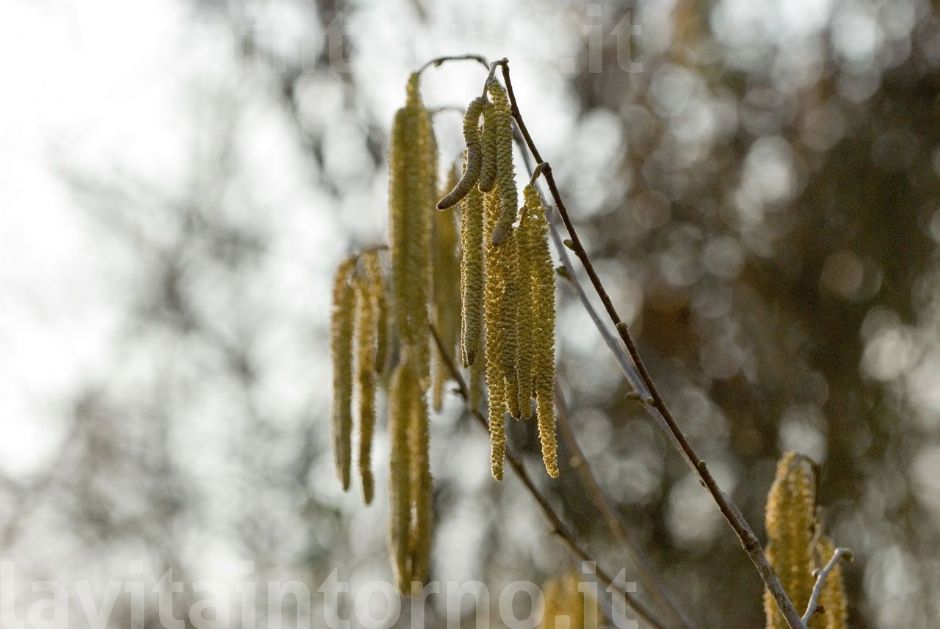 lungo il percorso ...