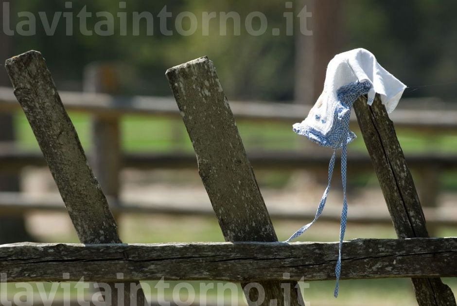 dimenticanze lungo il sentiero