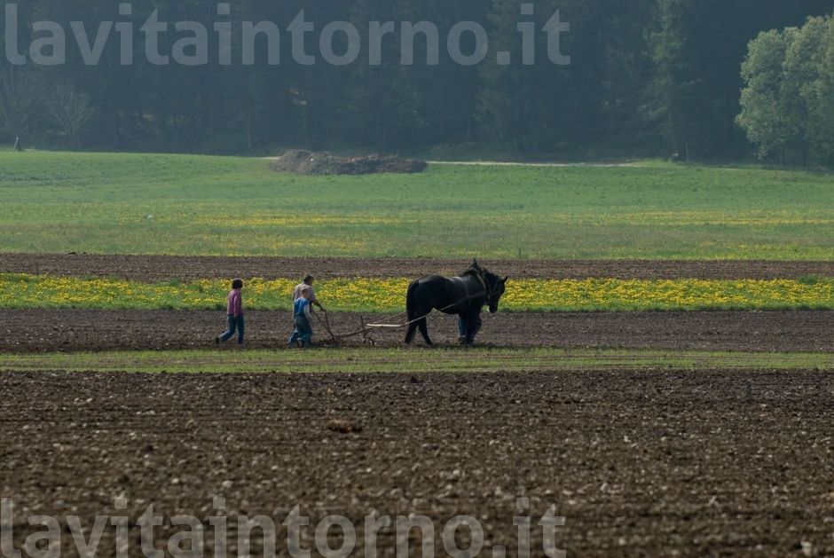 campagna ... e lavoro!