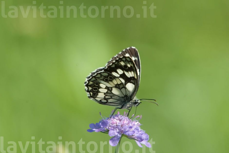 un istante, un incontro