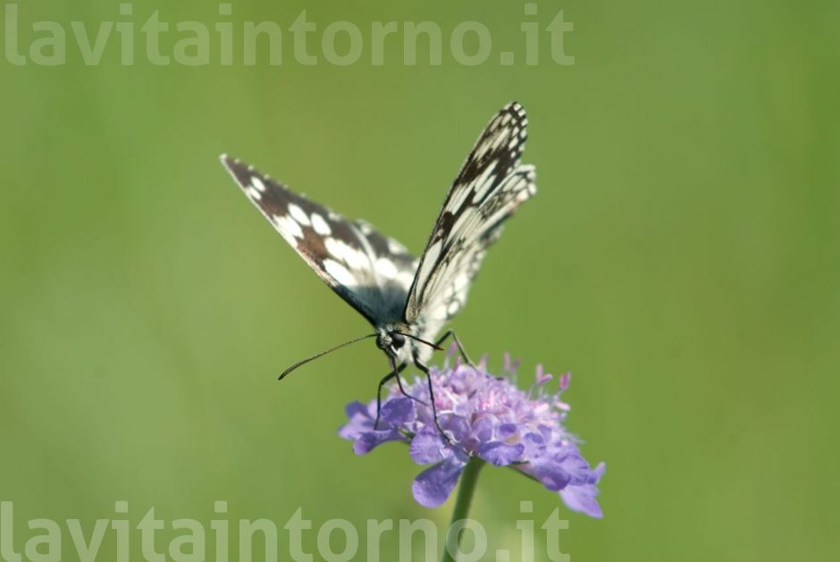 un instante, un incontro #2