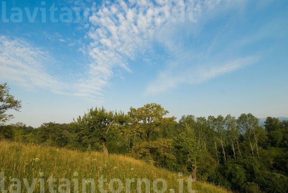 estate in collina #2 summer in hill