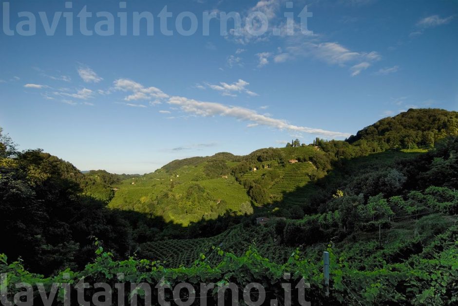 colline del prosecco