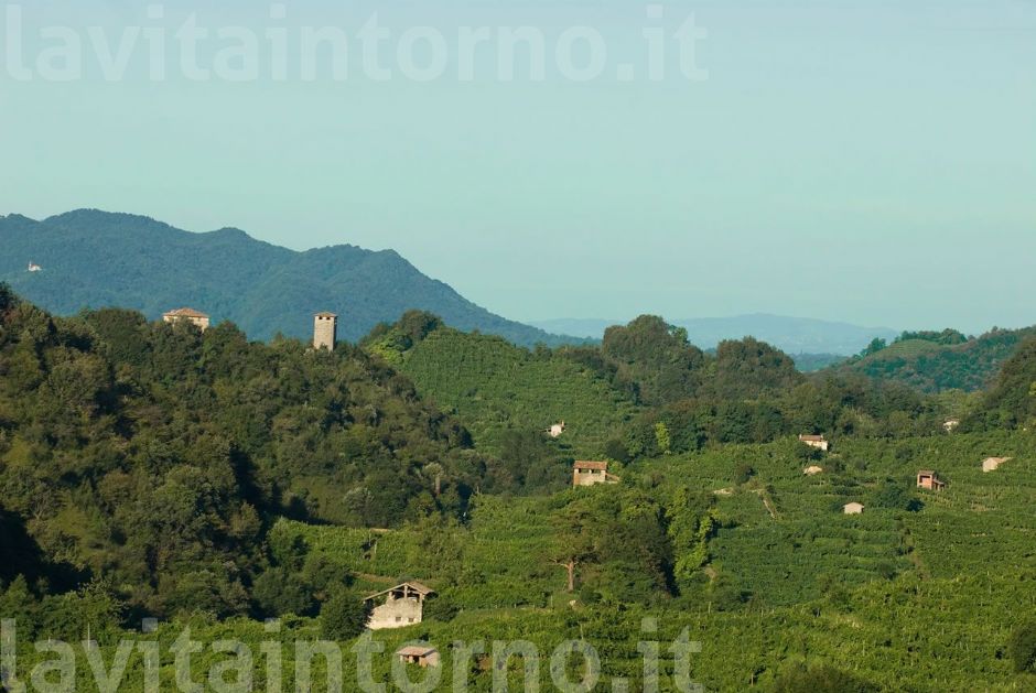 le colline del prosecco #2