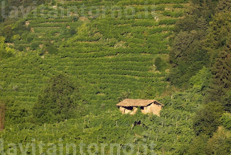 le colline del prosecco #4