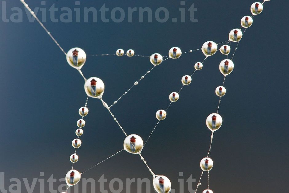 moltiplicali ed imprigionali: gli amici!