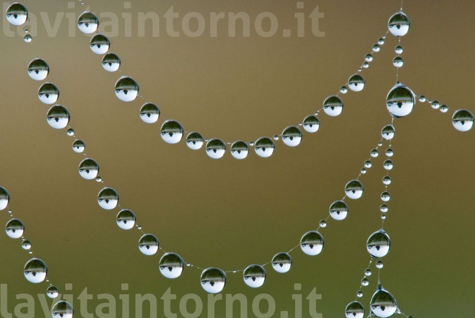 collana naturale