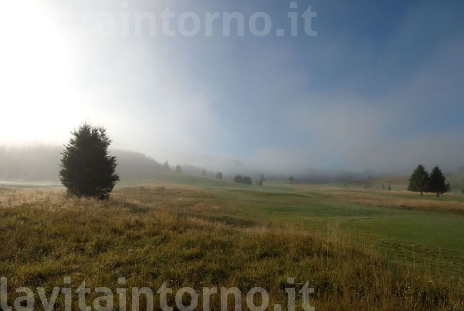 mattino sulla piana #2