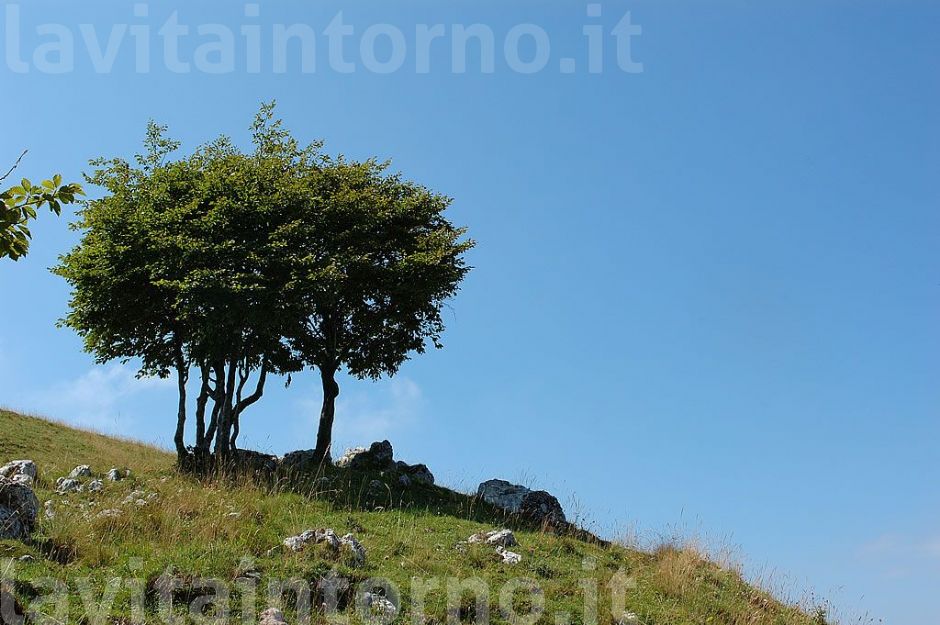 una piacevole giornata