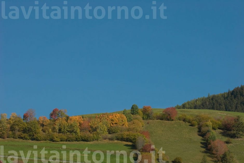 tirol erleben: sereno autunno