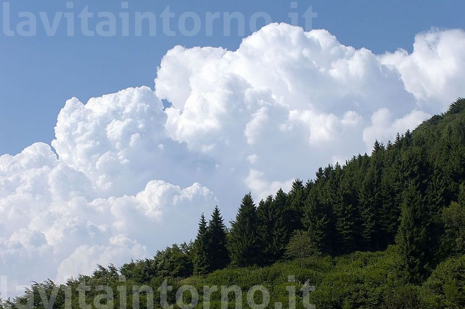 una piacevole giornata #2