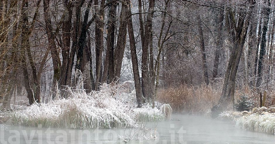 ricordo di un mattino ... fresco!