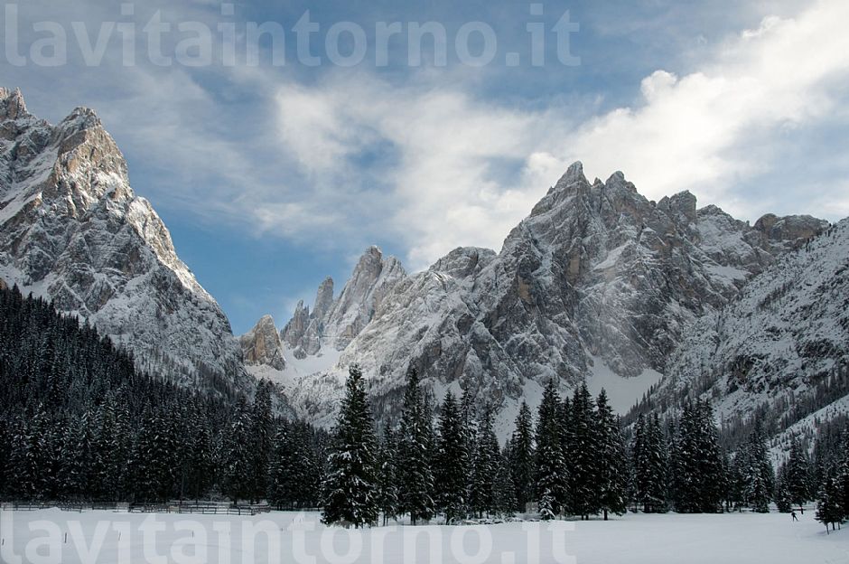 il gigante ed il fondista