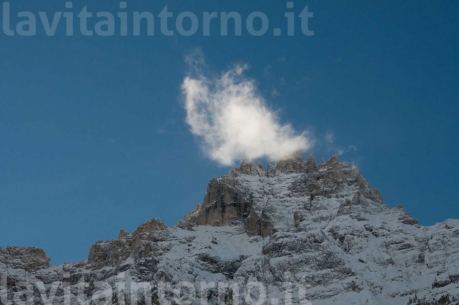 una carezza al gigante