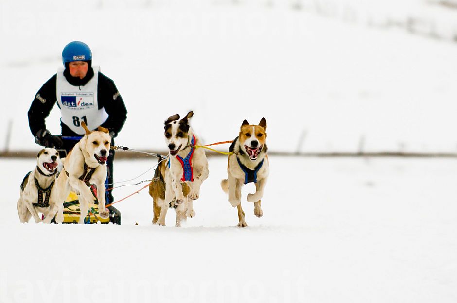 in corsa per la vittoria #2