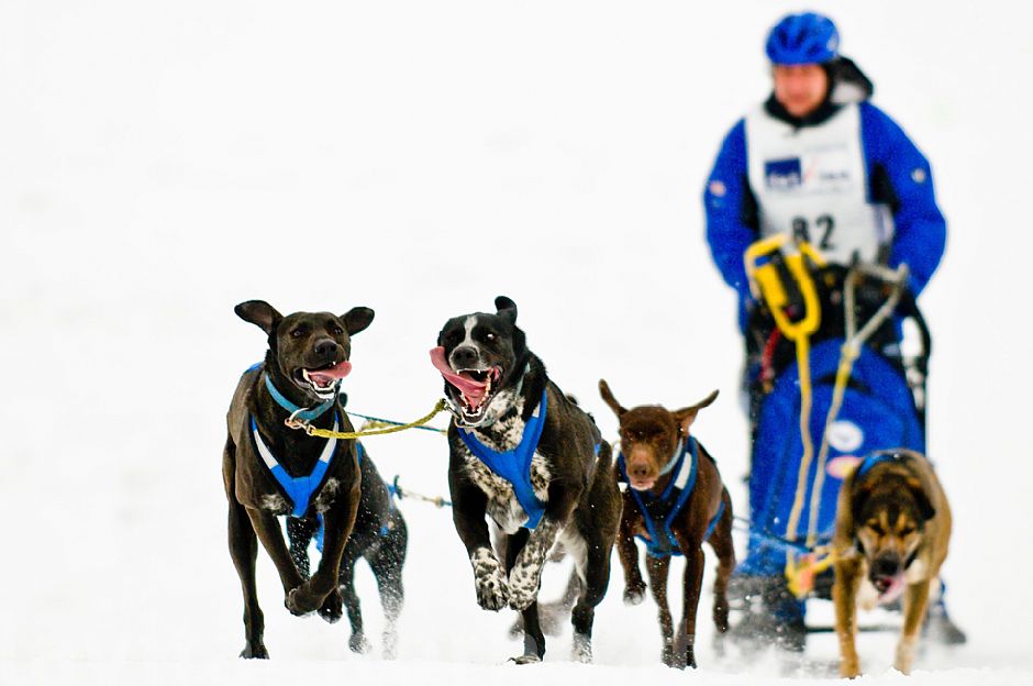 in corsa per la vittoria #3