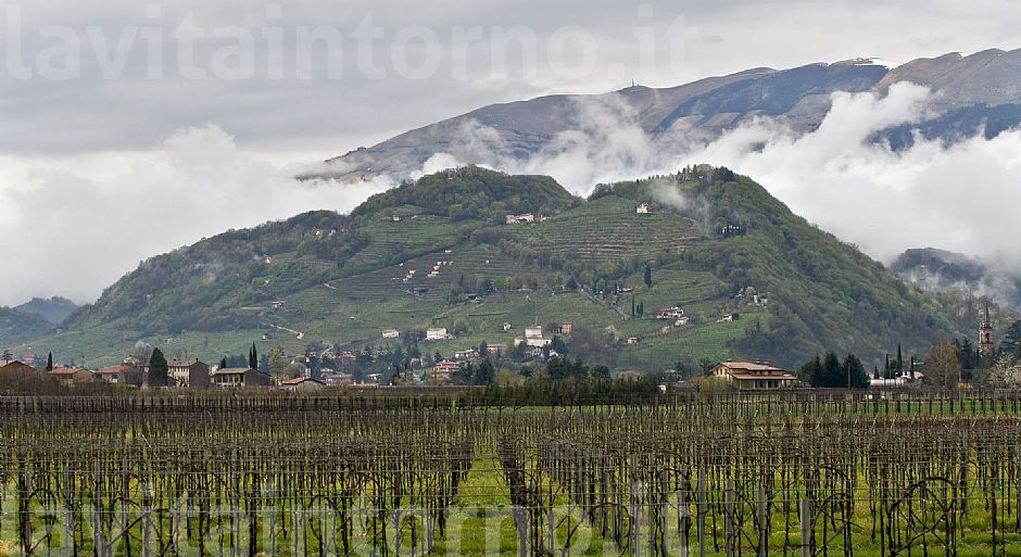 terra veneta: la collina di San Gallo a Soligo