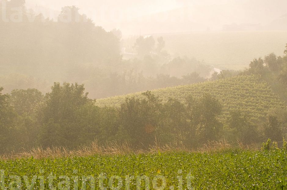 sotto una carezzevole pioggerellina