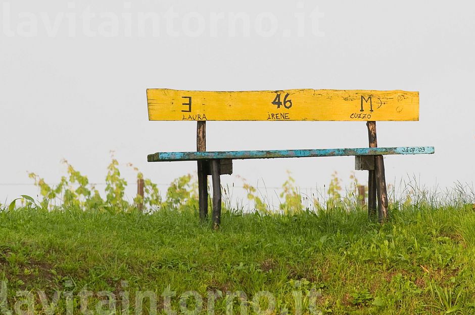 3 Laura 46 Irene M Cuzzo