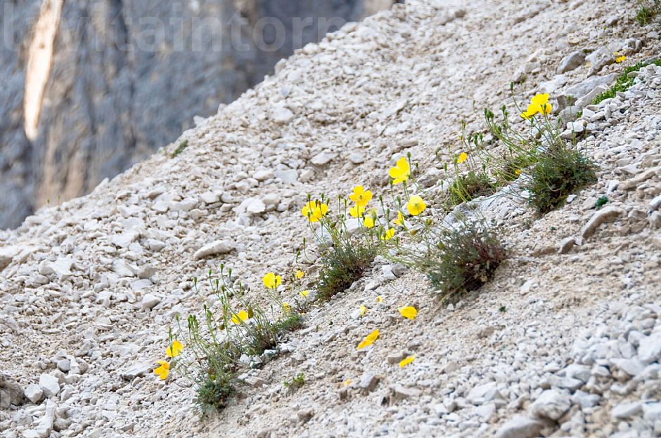 andar per sentieri ... #2