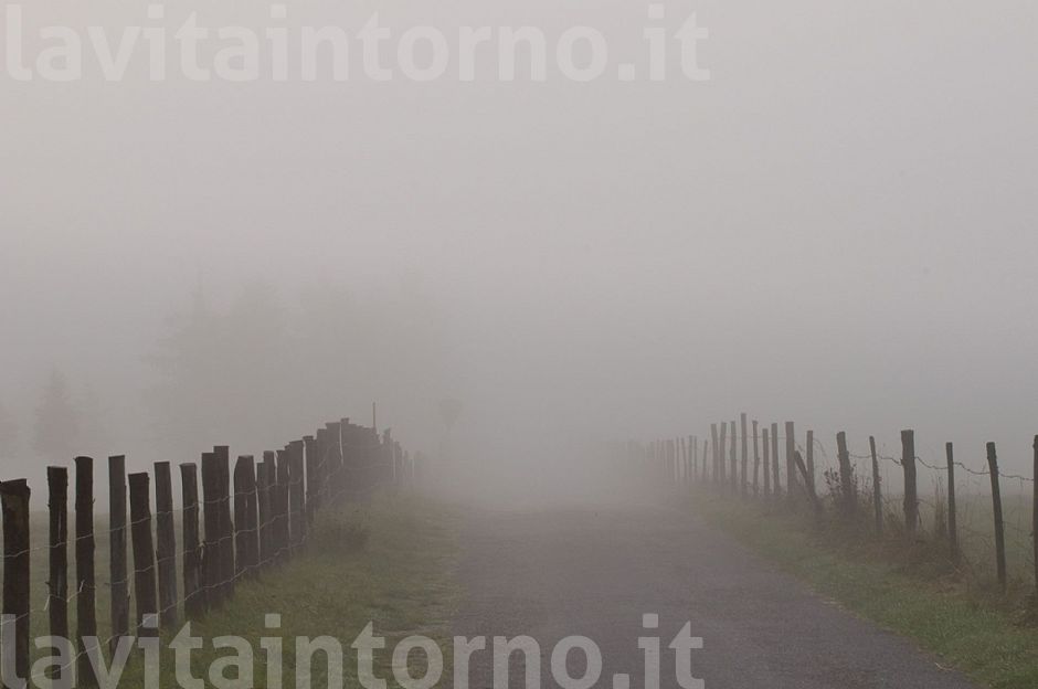 perdersi ... nella nebbia