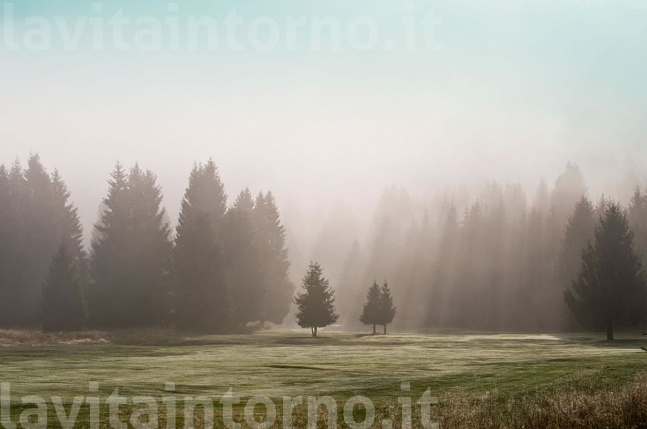stesso posto, stessa ora ... un anno dopo