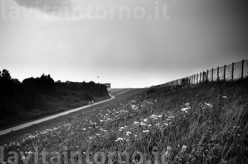 sugli argini della Frisia #2