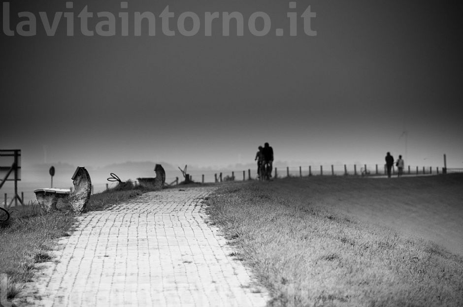 sugli argini della Frisia #3