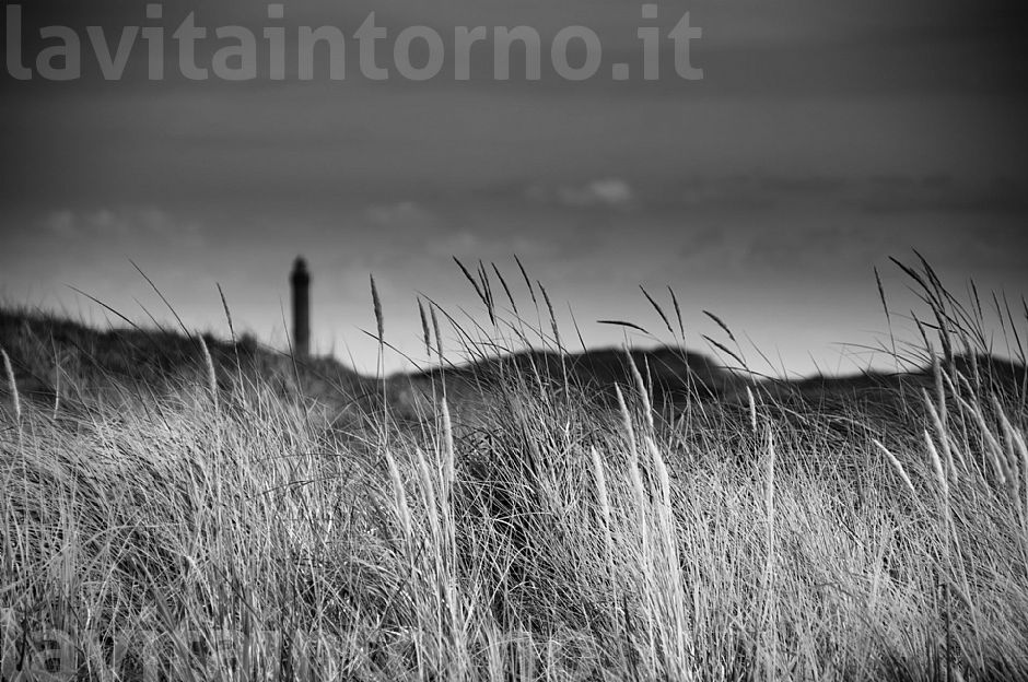 atmosfere dal Mare del Nord #5