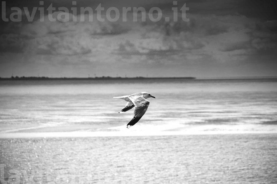 atmosfere dal Mare del Nord #7