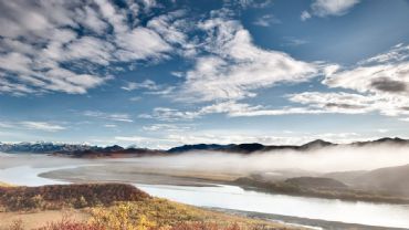 AUTORE: Luigi Dorigo - Ali e Radici Multivisioni AUTORE: Luigi Dorigo - Ali e Radici Multivisioni