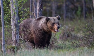 AUTORE: Patrizio Maniero AUTORE: Patrizio Maniero
