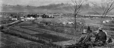 AUTORE: Luigi Dorigo - Ali e Radici Multivisioni AUTORE: Luigi Dorigo - Ali e Radici Multivisioni /