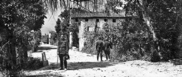 AUTORE: Luigi Dorigo - Ali e Radici Multivisioni AUTORE: Luigi Dorigo - Ali e Radici Multivisioni