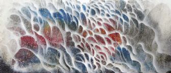 piccoli passi di una evoluzione piccoli passi di una evoluzione