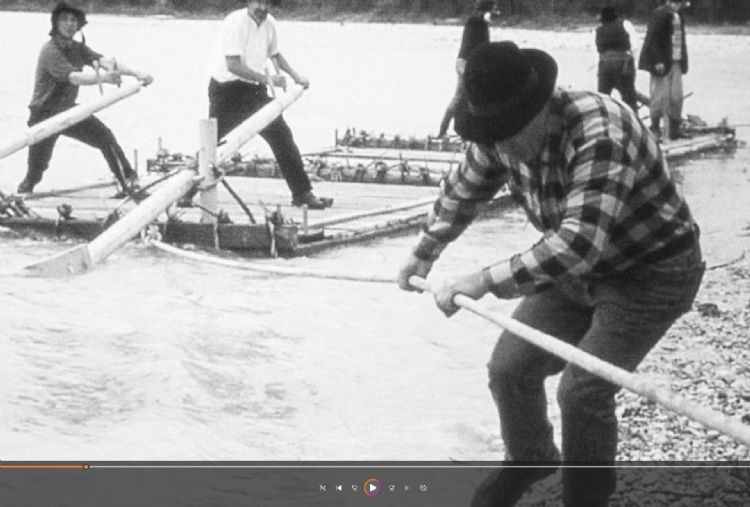 Contributo di Luigi Dorigo - Ali e Radici Multivisioni Contributo di Luigi Dorigo - Ali e Radici Multivisioni