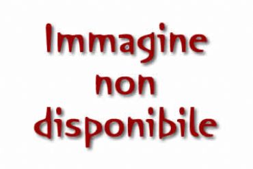 AUTORE: Vanni Case AUTORE: Vanni Case