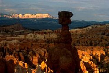 AUTORE: IdeaMultivisioni AUTORE: IdeaMultivisioni