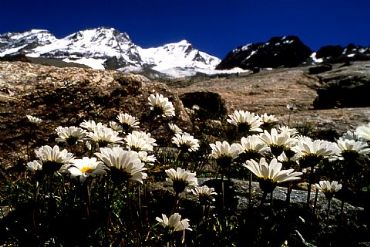 AUTORE: Valter Binotto AUTORE: Valter Binotto