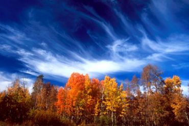 AUTORE: Carlo De Agnoi AUTORE: Carlo De Agnoi /