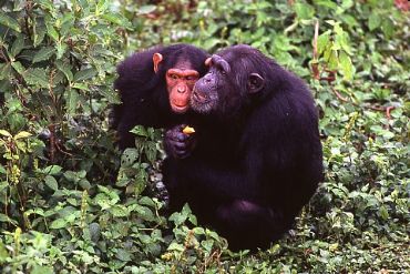 AUTORE: Merlino Multivisioni AUTORE: Merlino Multivisioni