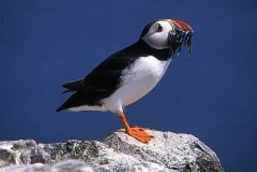 AUTORE: Valter Binotto AUTORE: Valter Binotto