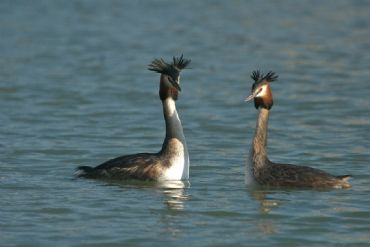 AUTORE: 360° Multivisioni AUTORE: 360° Multivisioni /