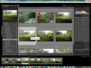 AUTORE: Luigi Dorigo - Ali e Radici Multivisioni AUTORE: Luigi Dorigo - Ali e Radici Multivisioni