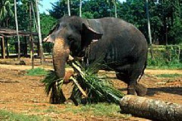 AUTORE: 360° Multivisioni AUTORE: 360° Multivisioni