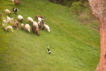 AUTORE: 360° Multivisioni AUTORE: 360° Multivisioni