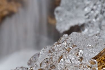 AUTORE: Luigi Dorigo - Ali e Radici Multivisioni AUTORE: Luigi Dorigo - Ali e Radici Multivisioni