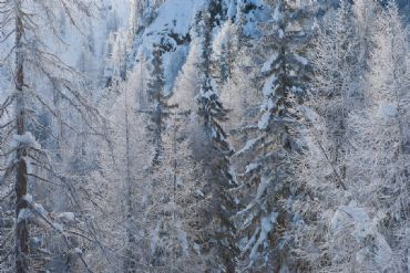 AUTORE: Roberto Valenti AUTORE: Roberto Valenti