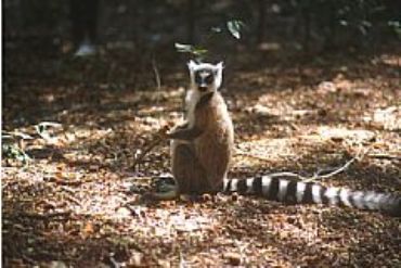 AUTORE: 360° Multivisioni AUTORE: 360° Multivisioni