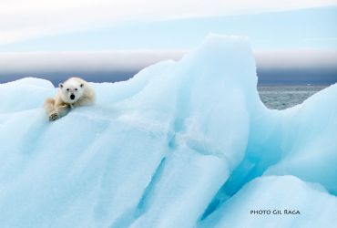AUTORE: Merlino Multivisioni AUTORE: Merlino Multivisioni